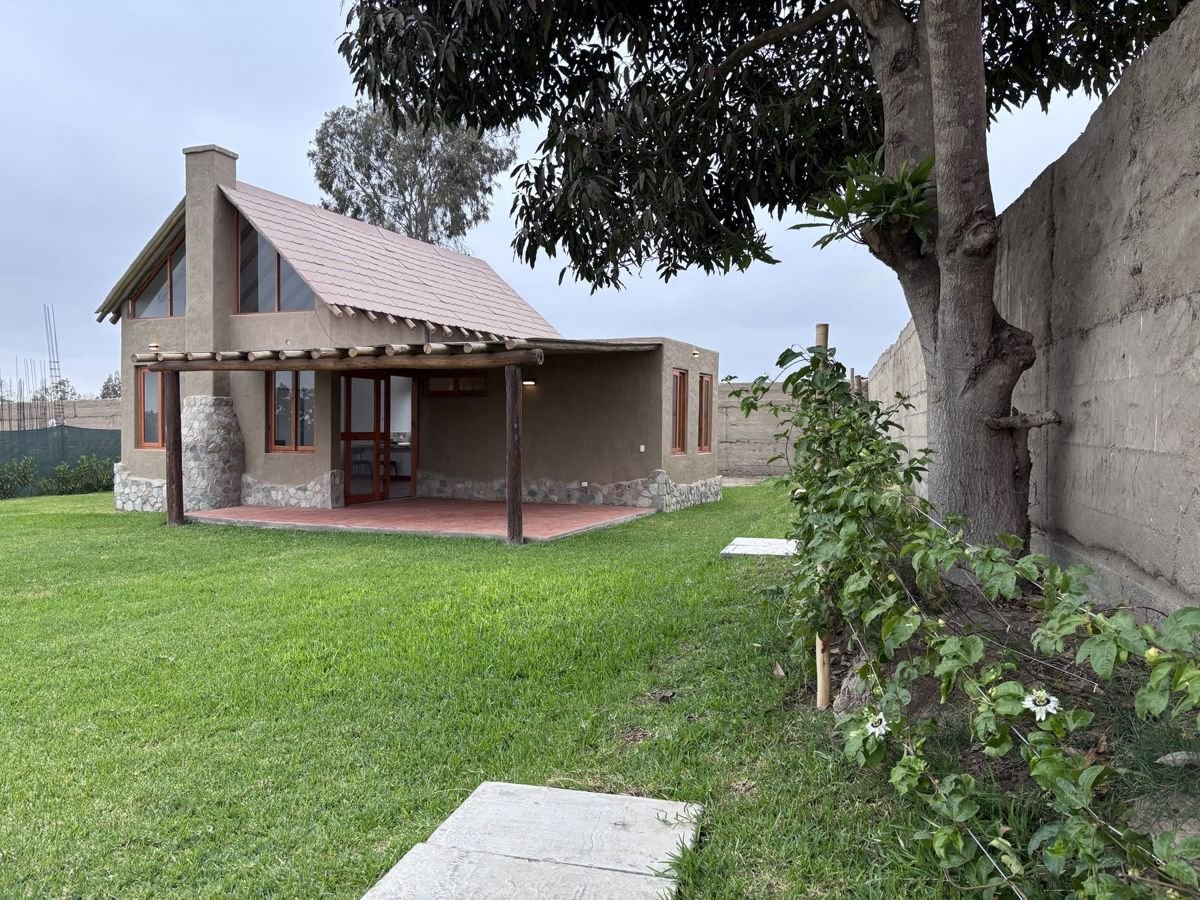 Jardín con árbol de mango